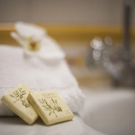 Ermellina Siena, A Tribute Portfolio 4* Siena