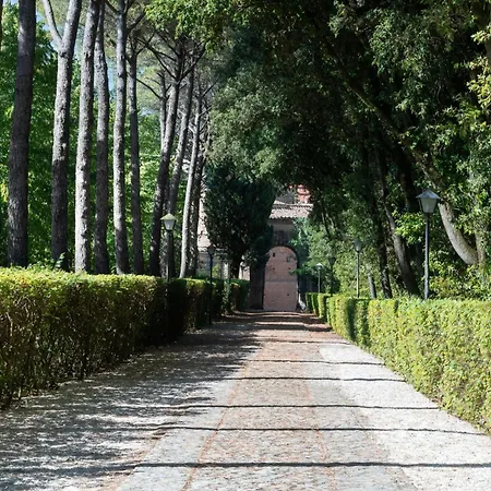 Ermellina Siena, A Tribute Portfolio