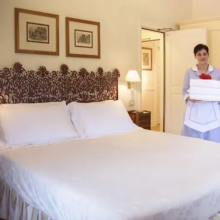 Ermellina Siena, A Tribute Portfolio