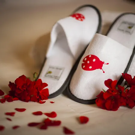 酒店 Ermellina Siena, A Tribute Portfolio