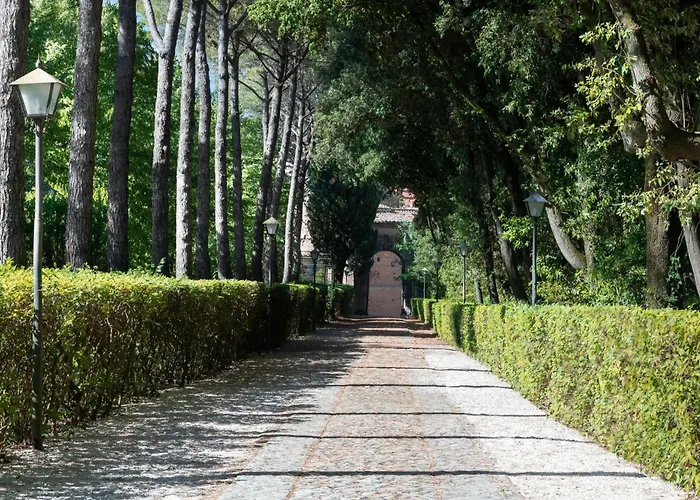 Ermellina Siena, A Tribute Portfolio