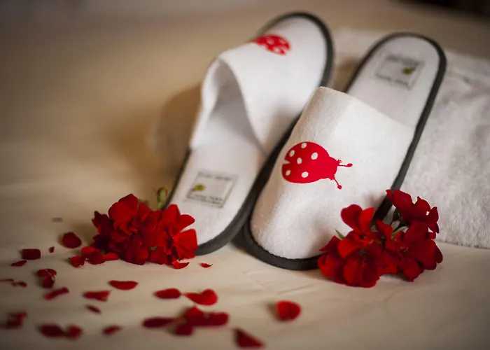 Hotel Ermellina Siena, A Tribute Portfolio