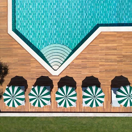 Ermellina Siena, A Tribute Portfolio 4* 시에나